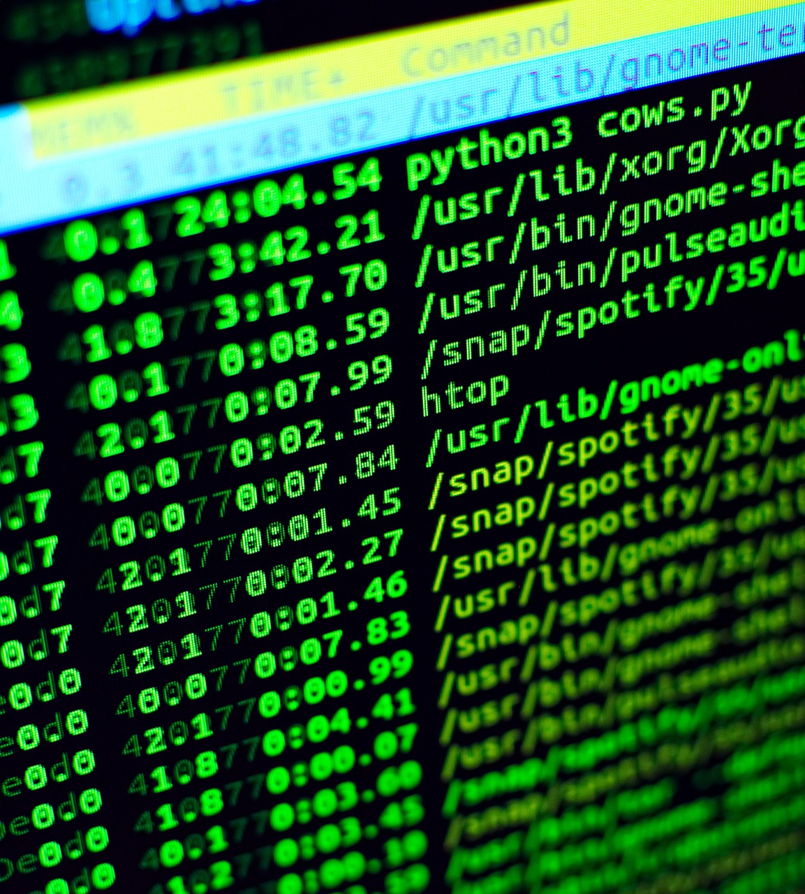 CloudLinux and cPanel: Optimization, Security, and Performance for Hosting